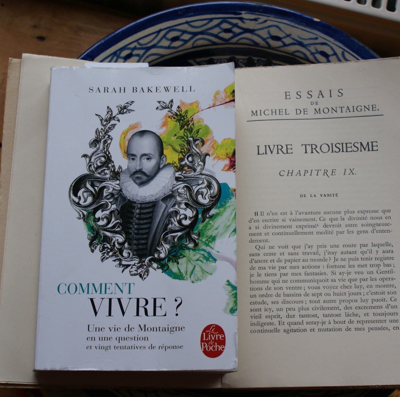BAKEWELL : Comment vivre ? Une vie de Montaigne en une question et vingt tentatives de réponse (2013)