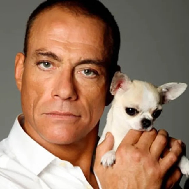 VAN DAMME : textes