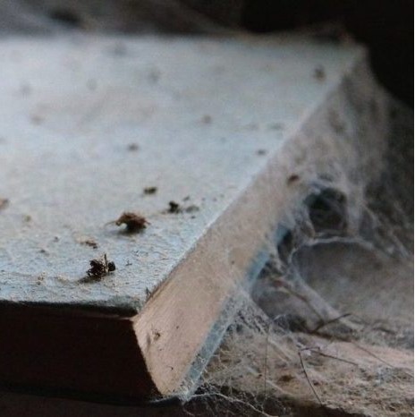 Fonds des livres oubliés