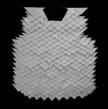 CAO : Sans titre (2014, Artothèque, Lg)