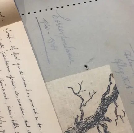 TEMOIGNAGE : Carnets de prisonnier