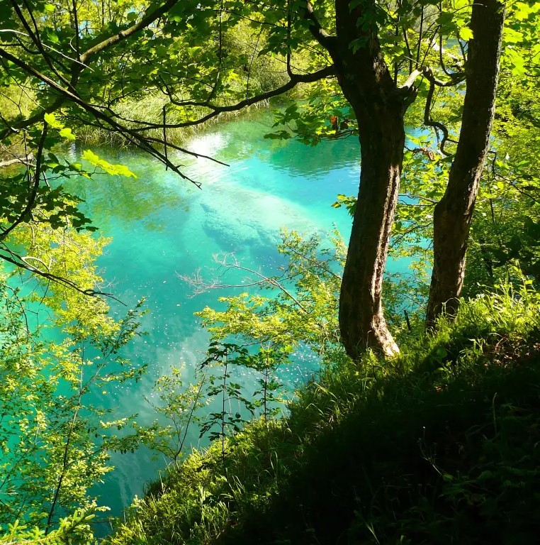VIENNE : Le lac (nouvelle, 2025)