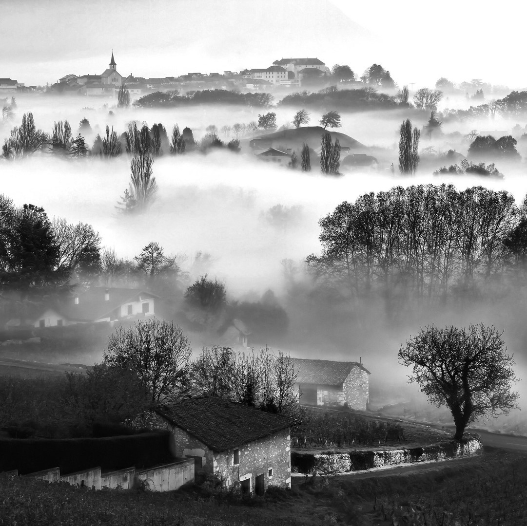 HENROT par DADO : Une vie et quelques jours heureux (roman, 2025)