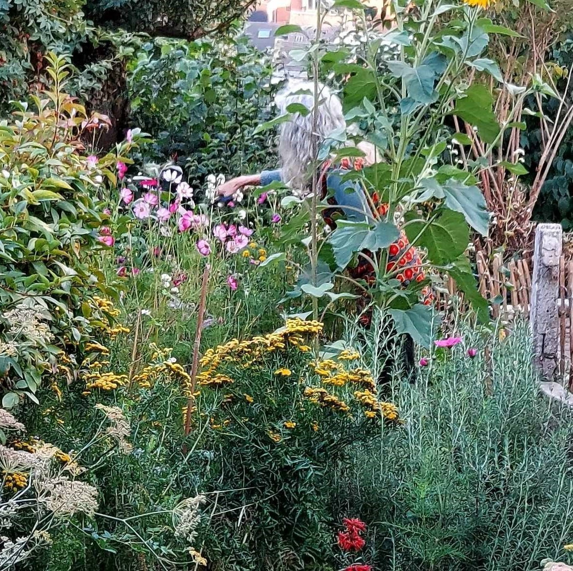 CHONEZ, Claudine (1906–1995) : « Ce soir » (1971)