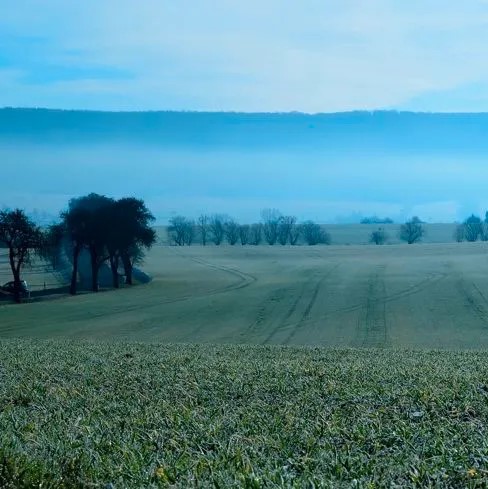 LEVY : XCI – La légende de novembre (1883)